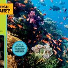 "WHY CAN'T FISH BREATHE AIR?" Unterwasserwelt mit Fischen und Korallen. Erläuterungen zu Atmungsarten von Wasserlebewesen.