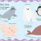 Text: „On the ice“, „Who might be the biggest hunter on the ice?“. Illustration von Narwal, Robbe, Belugawal, Eisbär, Pinguin, Polarfüch.