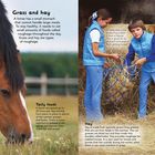 "Grass and hay", "Safety first!", "Tasty foods", "Hay", "A horse eats...", "Tie the haynet...", "Soaking", "Top Tip". Ein Pferd, Kinder mit Heu.