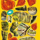 "Stegosaurus Seite 6-7", "Größe im Vergleich". Illustration von bunten Dinosaurier-Teilen auf gelbem Hintergrund.