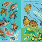 Geflüchtete Schildkröten und Fische links, fliegende Drachen und Chameleons rechts, lebhafte Farben, Seitenangaben.