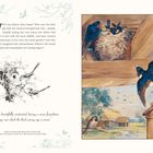 Text über Eileen Alice Soper und ihre Liebe zur Natur; links Zeichnung von Vögeln im Nest, rechts farbige Illustration von Schwalben.