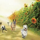 Text: "They race to the corners of heaven and back, and everyone gets a turn leading the pack." 

Illustration: Hunde rennen auf einem von Sonnenblumen gesäumten Weg. Im Hintergrund eine Menschengestalt mit Flügeln.