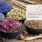 Text: "Part 2: Ailments and treatments." Schalen mit getrockneten Blüten und Kräutern auf einem Holztisch.