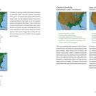 Native swaps for Buddleja davidii: Beschreibungen und Karten für folgende Pflanzen: Eutrochium fistulosum, Eutrochium maculatum, Clethra alnifolia, Itea virginica. Enthält Informationen über Wuchshöhe, Blüten, Standortbedingungen und Bestäuber.