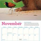 November 2027. Bild eines Capybaras neben einem Vogel auf einem Kalenderblatt mit einem großen Capybara-Bild oben.