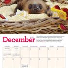 Text: "December 2027". Ein Faultier liegt in einem geflochtenen Korb mit gelbem Tuch, umgeben von bunten Blumen.