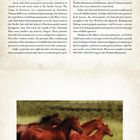 "WILD AND FREE" steht oben. Unten eine Illustration von frei galoppierenden Pferden auf einer Wiese.