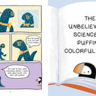 Links vier Panels mit einem blauen Wesen, rechts Titel: "THE UNBELIEVABLE SCIENCE OF PUFFINS' COLORFUL BEAKS".