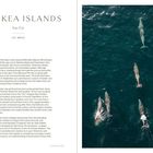 „Inishkea Islands, Inis Gé, Co. Mayo“ steht oben. Links ein Textblock, rechts mehrere Delfine im Wasser.