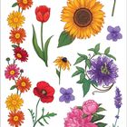 Verschiedene Blumenarten: Sonnenblume, Seerose, Orchidee, Mohnblume und mehr, in leuchtenden Farben illustriert.