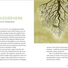 Text: "RHIZOSPHERE - A Universe Among Roots". Links Text über die Rhizosphäre. Rechts Illustration von Wurzeln in Erdtönen.