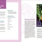 Links: "TO DO THIS MONTH", "PLAN", "SOW AND PLANT", "HARVESTING NOW ...", "PREPARE AND MAINTAIN". Rechts: "Planning for Plentiful", "Heavy greens like Swiss chard and kale produce continually for months". Textbeschreibung einer Gartenplanung mit Tipps und einer farbenfrohen Gemüsefotografie. Januar.