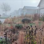 Text: "A perfect tapestry sets the mood for trick-or-treating season as morning fog settles in." 

Beschreibung: Ein nebliger Morgen mit Häusern, Einfahrten und verwelkten Gärten, die eine herbstliche Stimmung erzeugen.