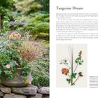 "Tangerine Dream" beschreibt eine elegante Rosenpflanzung. Links blühen korallfarbene Rosen in rustikalen Pflanzengefäßen.