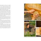 "Modern Beekeeping" und "Candice Koseba uses honeycomb..." Links Text über Imkerei, rechts drei Fotos: Honigwaben, Frau bei Bienenarbeit, Gläser mit Honigprodukten.
