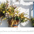 "Blumen im Patio" und "CASARES EDITION". Blumen in einem Terrakotta-Topf an einer weißen Wand mit Fenster und blauem Rahmen.