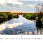 "Moorlandschaft", Monatskalender. Grasbüschel spiegeln sich im ruhigen Wasser unter einem bewölkten Himmel.