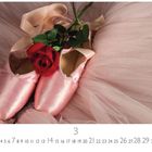 Kalenderblatt März mit einer roten Rose auf pinken Ballettschuhen und einem Tüllrock.