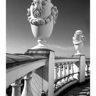 Text: "Veranda auf dem Französischen Dom." Schwarz-weiß. Zwei kunstvolle Vasen auf einer Balustrade, darunter ein Kalender.
