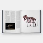 Doppelseite eines Buches: Links Text über Tyrannosaurus rex, rechts ein Dino-Skelett. Links unten ein kleines Skelettfoto.