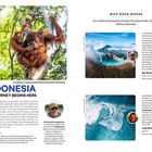 "Orangutans in Tanjung Puting National Park (p556), Kalimantan. INDONESIA. THE JOURNEY BEGINS HERE." - Orang-Utans auf Bäumen.