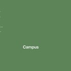 Texte: RAL 6011, verwendet für Stahlstrukturen, Zäune, Fensterrahmen, Stahltüren. Hintergrund: Olivgrün. Text: "Campus".