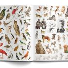 Illustration mit bunten Vögeln und Hunden in vielfältigen Posen, daneben Menschen in altmodischer Kleidung.