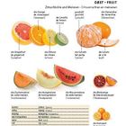 Titel: „OBST – FRUIT“. Abbildungen von Zitrusfrüchten und Melonen. Wörter auf Deutsch, Englisch und Niederländisch.