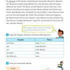 Seite 24: Aus Au/au wird Äu/äu. Aufgabe 1: Unterstreiche Wörter mit au/äu. Aufgabe 2: Singular und Plural eintragen.