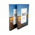 Zwei Bücher mit dem Titel "TRIEST FÜR FORTGESCHRITTENE", darunter der Name Erich Bernard. Gebäude und Wasser auf dem Cover.
