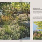 Mischpflanzungen von Gehölzen, Stauden und Gräsern. Dichte Bepflanzung in einem Garten mit bunten Blumen und Sträuchern.