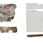 40000 v. Chr.: Der Lebombo-Knochen. Beschreibung von Funden, darunter Knochen mit Einkerbungen aus Südafrika und Kongo. Rechts oben: Geometrisches Muster auf Wandbemalung. Unten: Relieftafel mit Tiermotiven und Knochensplitter. Links und rechts sind Texte über historische Werkzeuge und mathematische Artefakte.