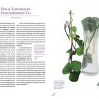 Titel: "Royal Copenhagen Stangenbohnen-Vas". Text über Herkunft und Nutzung von Stangenbohnen, deren Sorten und Anbau. Links Bohnenabbildungen, rechts eine dekorative Vase mit rankender Bohnenpflanze.