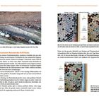 Monitoring von Varroaresistenz-Merkmalen über 24/48 Stunden. Zwei Fotos von Bienenwaben und Puppenteilen, farbig markiert.