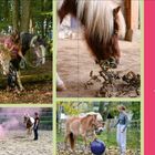 Text: "Praxis". Verschiedene Szenen mit Pferden und Menschen, u.a. im Wald und auf einem Reitplatz mit pinkem Rauch.