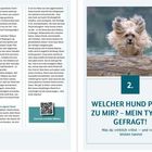 1. Rasse: Mix, Moder… - Genau mein Typ!
2. WELCHER HUND PASST ZU MIR? – MEIN TYP IST GEFRAGT!
Darunter Text über Hunde und Bild eines Hundes vor Wasser.