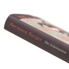 „Hermann Burger“ und „Die Scheintoten“ sind auf einem Buchrücken zu sehen, schräg fotografiert.