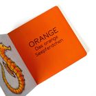 ORANGE Das orange Seepferdchen. Illustration eines orangefarbenen Seepferdchens auf grauem Hintergrund.