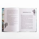 Linke Seite: Text über Nestbau und Dialoge. Illustrierter Wolf. Rechte Seite: Überschrift "Verbrecher & Co", Text über einen Lehrer. Illustrierter Waschbär.