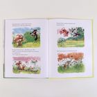 Auf einer Doppelseite eines Kinderbuchs streiten drei Hasen um Salat, verstecken sich, eine Heuschrecke taucht auf. Bunte Illustrationen.