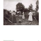 Freilichtmalerinnen beim Arbeiten nach dem lebenden Tier-Modell, Dachauer Moos, 1906. Drei Frauen malen Kühe im Freien.