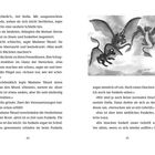 Seite 44: Text über fliegende Drachen, die eine Schleife bilden.   
Seite 45: Illustration von drei Drachen in Wolken.