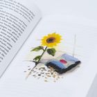Text steht auf einer Buchseite. Illustration einer Sonnenblume neben einem blauen Buch mit verstreuten Samen.