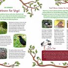 Im Sommer: Gärtnern für Vögel. Fünf-Sterne-Garten für Vögel. Rudi Rotbeins Tipp: Fenster dekorieren für guten Blick.