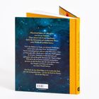 Gelber Buchrücken, Titel: "Der Hund, der dem Mond folgte", Hintergrund: blau mit Sternen, Text über Abenteuer.