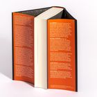 Orangener Buchumschlag mit Text über Liza Minnelli, Michael Feinstein, Josh Getlin und Heidi Evans. Buchrücken nach links.