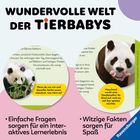 WUNDERVOLLE WELT DER TIERBABYS. Ein Panda isst Bambus. Ein anderer trägt ein Junges im Maul. Texte über Fragen und Fakten.