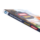 Auf dem Buchrücken: "Ziemlich beste Feline", "2. KLASSE", "Schleich", "EXTRA DICK". Cover zeigt eine Straße und Berge.