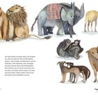 Text beschreibt Tiere, die in Paaren erscheinen: Giraffen, Elefanten, Antilopen, Kühe, Schimpansen, Hunde, Katzen, Vögel. Illustration zeigt sie bunt.